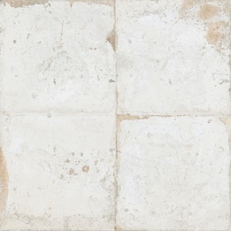 29295 Fs Roots-0 45x45