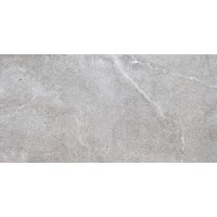 29853 LUCCA GREY AS/60X120/C/R 60x120