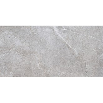 29853 LUCCA GREY AS/60X120/C/R 60x120