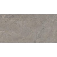 2ASK Silver Grey Silk RT 60x120