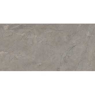 2ASK Silver Grey Silk RT 60x120
