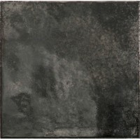 30011 Black Ash 10х10