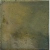 30014 Wild Olive 10х10