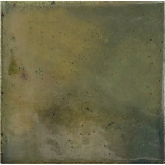 Керамическая плитка 30014 Wild Olive 10х10