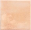 30016 Pink 10х10