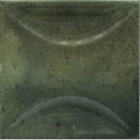 30025 Arco Wild Olive 10х10