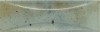 30042 Arco Celadon 6,5X20