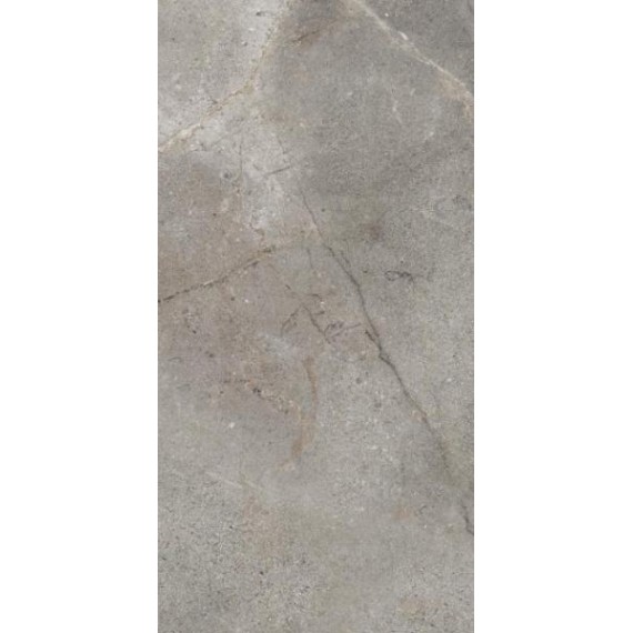 Керамогранит 304013 Mask Silver 60x120