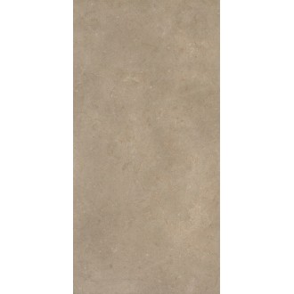 304281 Керамогранит Serica Mud Rett 60x120