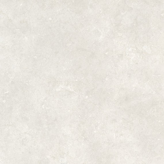 Керамогранит 304332 Керамогранит Serica Bone Rett 120x120