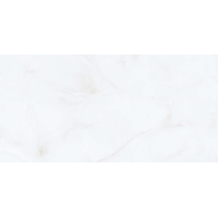 3064 Antysky Ice Glossy 60x120