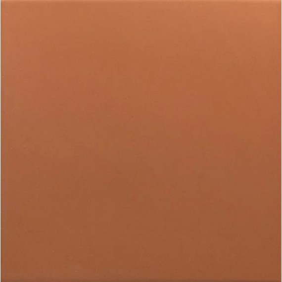 Керамогранит 30718 Керамогранит Rivoli Terre 20x20