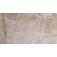 3086 Atrium Polished 60*120