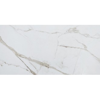 3091 Grande Fantastico Polished 60*120
