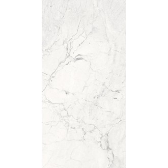 3110 Magnus White Polished 60*120