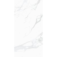 3111 Statue Light Grey Polished 60*120