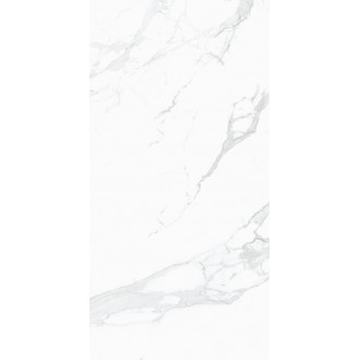 3111 Statue Light Grey Polished 60*120