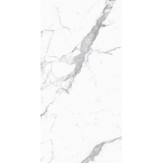 3112 Statue Grey Polished 60*120