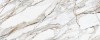 313759 Calacatta Paonozza Polished 120x300
