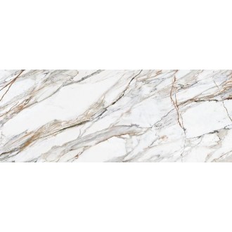 313759 Calacatta Paonozza Polished 120x300