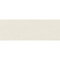 313775 Pietra Coral 100x300