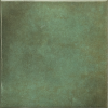 31566 Spa&Pools Moos Green 15x15