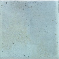 31568 Spa&Pools Sky Blue 15x15