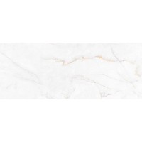 316231 Syrac Polished 120x300