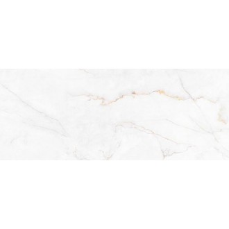 316231 Syrac Polished 120x300