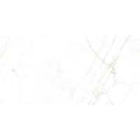 31739 Керамогранит Dual White NT 60x120