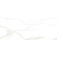 3193 Daynamic gold 43x107