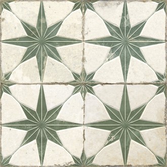 32449 FS Star Sage LT 45x45