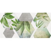 34090 Focus зелёный ботаника 25х50