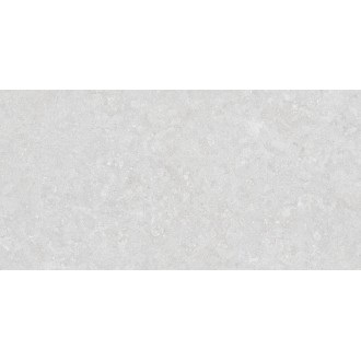 35569 Ghent Silver/50X100X2/A/R 50x100