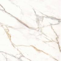 36CL20P Calacata Gold Pulido 119x119