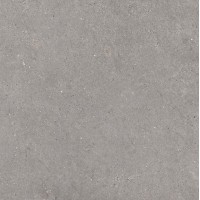 36MI30R MITICA GRIS REC R10 120X120
