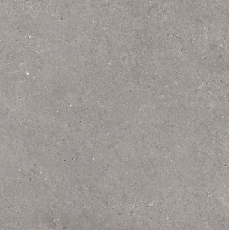 36MI30R MITICA GRIS REC R10 120X120