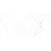 38712 Керамогранит Dual White NT 60x120
