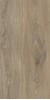 40683 Verbier Honey 4D/50X100X2/A/R 50x100