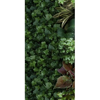 4100151 Jane A 50x100