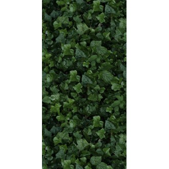 4100155 Jane E 50x100