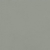 4100635 Sunday Salvia 20x20
