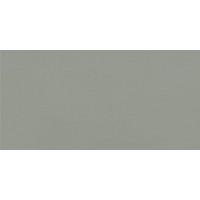 4100647 Sunday Salvia 10x20