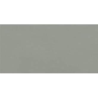 4100647 Sunday Salvia 10x20