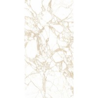 4100698 Pulp Gold Double Honed 60x120