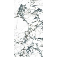 4100703 Pulp Green Double Polished 60x120