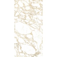 4100704 Pulp Gold Double Polished 60x120