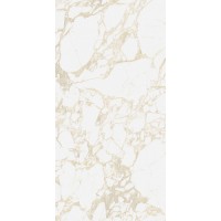 4100710 Pulp Gold Raw 60x120