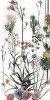 4100716 Franz 60x120