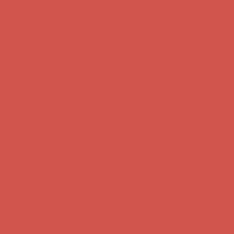 4100801 03 Coral 11,55x11,55